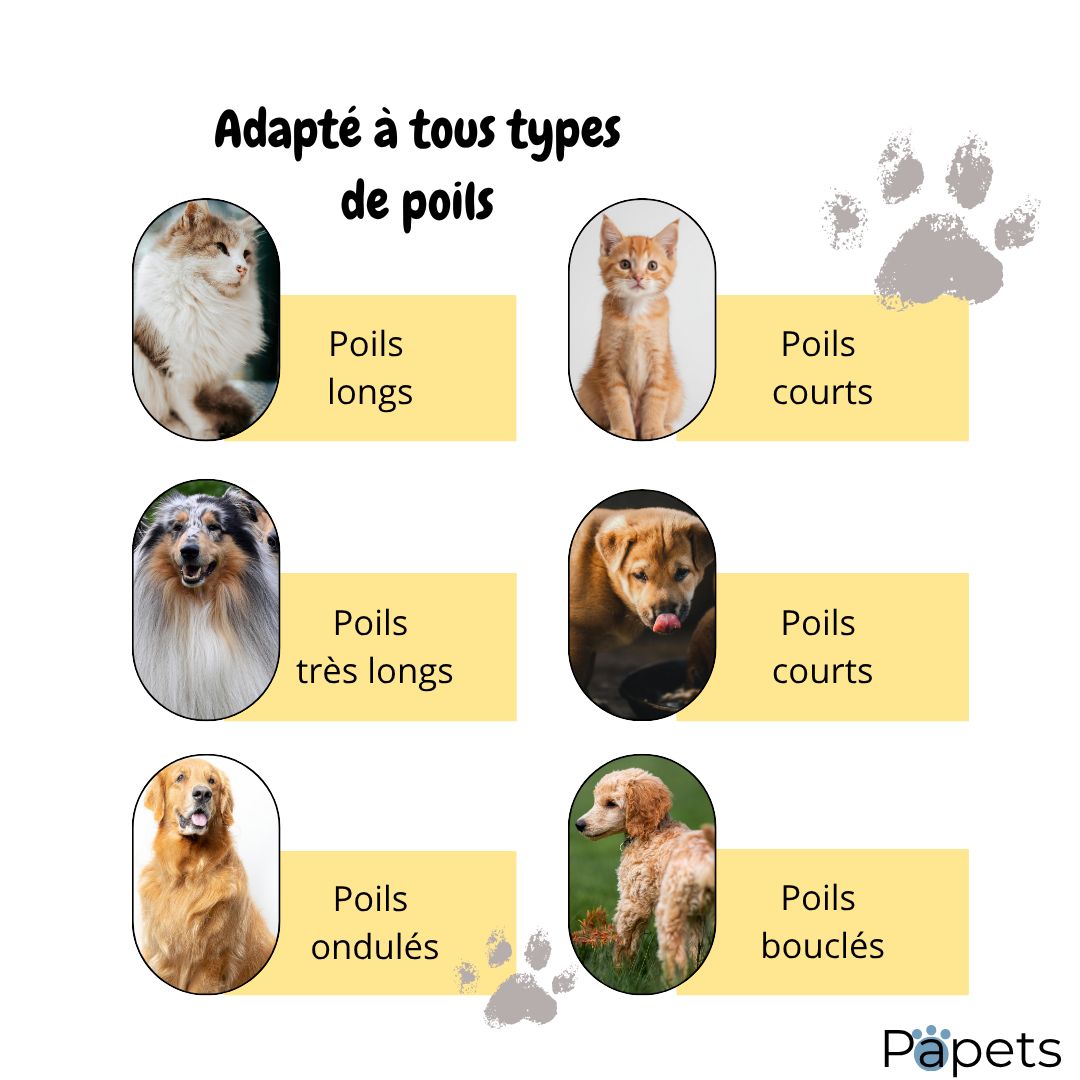 Brosse auto-nettoyante pour Chiens et Chats Papets