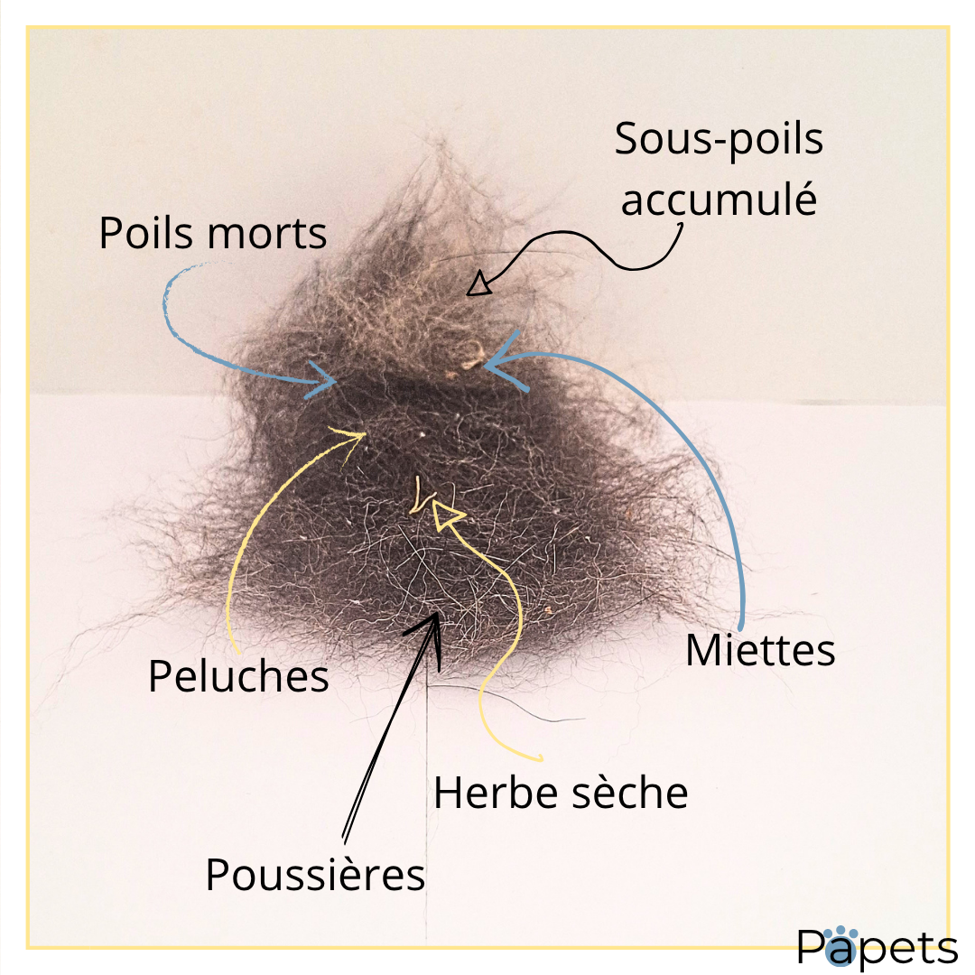 Brosse auto-nettoyante pour Chiens et Chats Papets