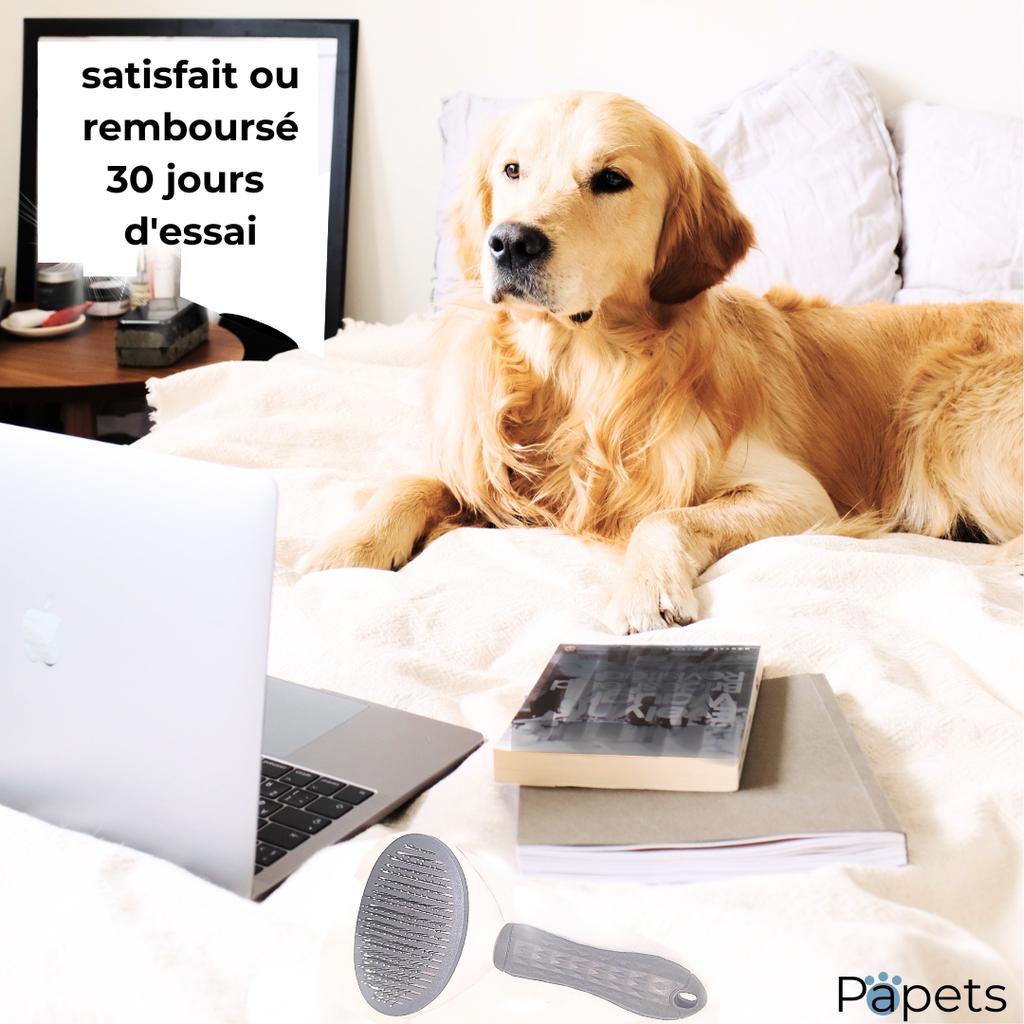 Brosse auto-nettoyante pour Chiens et Chats Papets