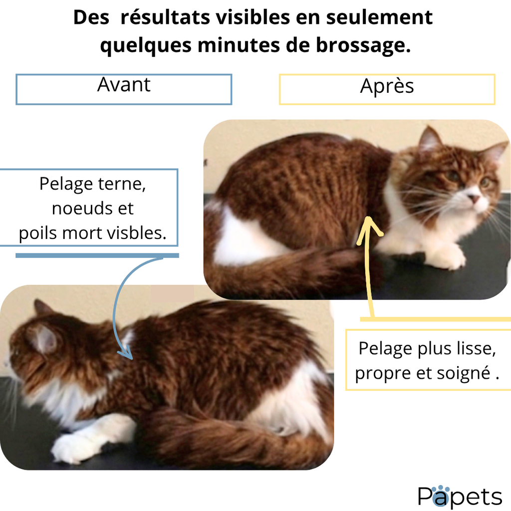Brosse auto-nettoyante pour Chiens et Chats Papets