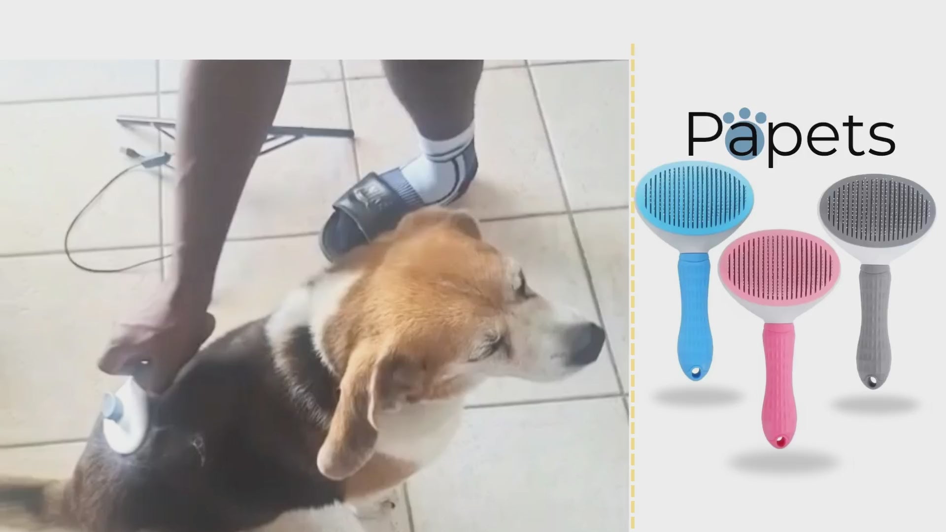 Vidéo